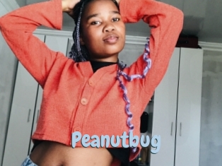 Peanutbug