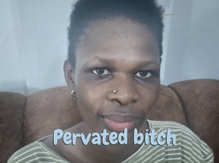 Pervated_bitch