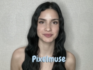 Pixelmuse