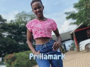 Prillamark