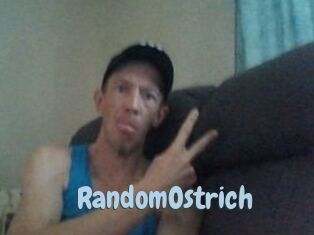 RandomOstrich