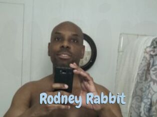 Rodney_Rabbit