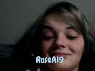 RoseA19