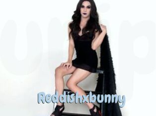 Reddishxbunny