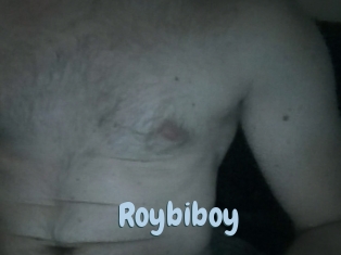 Roybiboy