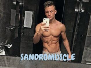 SANDRO_MUSCLE