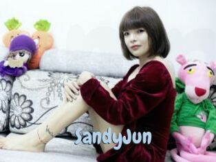 SandyJun