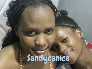 Sandycanice