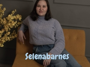 Selenabarnes