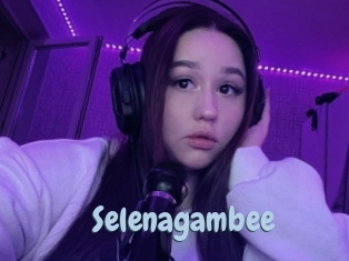 Selenagambee