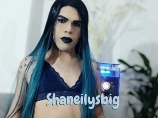 Shaneilysbig