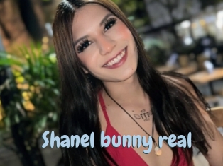 Shanel_bunny_real