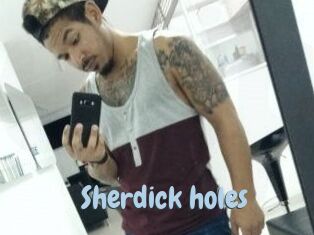 Sherdick_holes