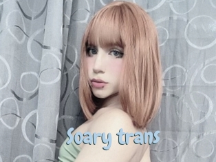 Soary_trans