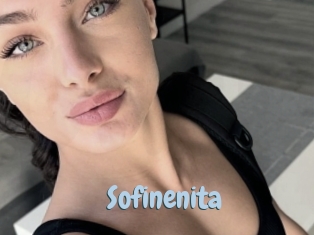 Sofinenita