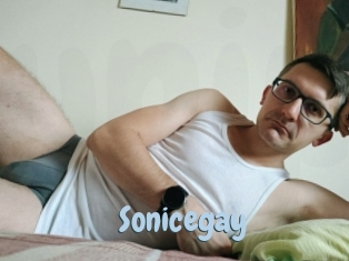 Sonicegay