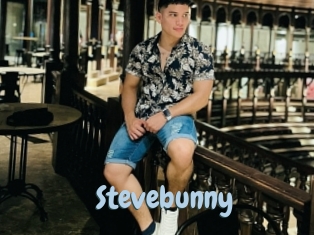 Stevebunny