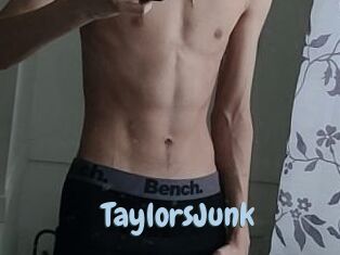 TaylorsJunk