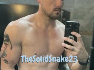 TheSolidSnake23