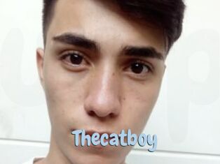 Thecatboy