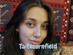 Taitecornfield