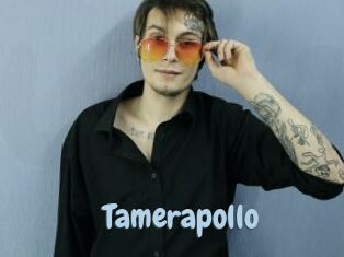 Tamerapollo