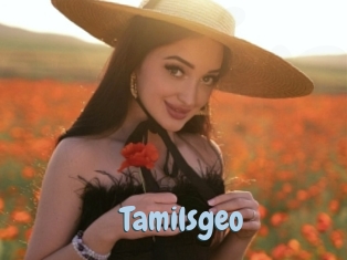 Tamilsgeo