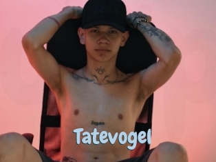 Tatevogel