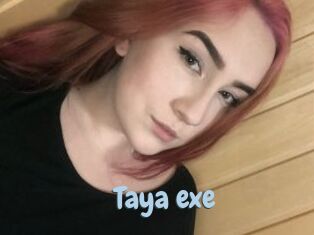 Taya_exe