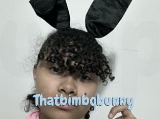 Thatbimbobunny