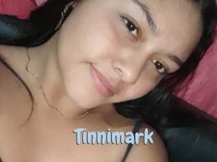 Tinnimark