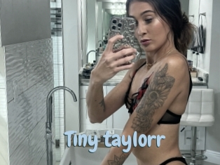 Tiny_taylorr