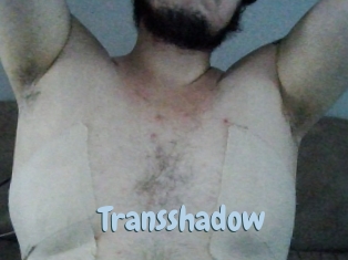 Transshadow