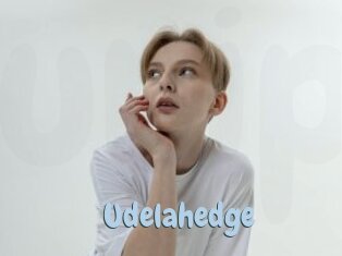 Udelahedge