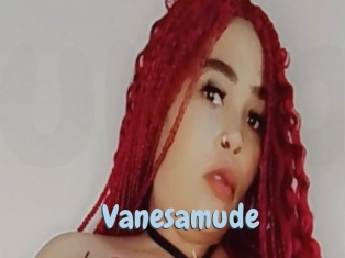 Vanesamude