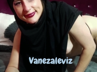 Vanezaleviz