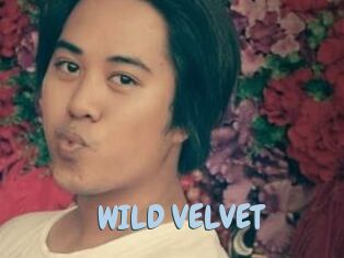 WILD_VELVET