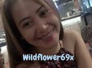 Wildflower69x