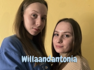 Willaandantonia