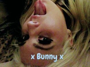 _x_Bunny_x_