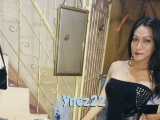 Ynez22